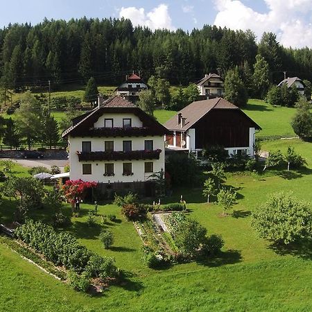 Haus Pfarrkirchner Διαμέρισμα Mauterndorf  Εξωτερικό φωτογραφία