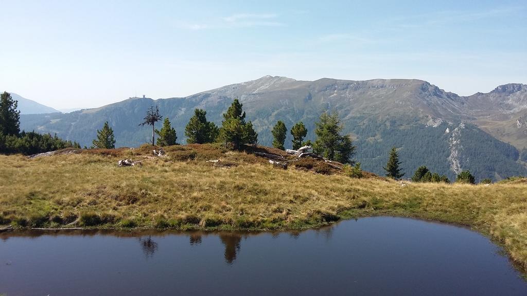Haus Pfarrkirchner Διαμέρισμα Mauterndorf  Εξωτερικό φωτογραφία